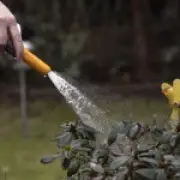 Hosepipe ban for 1 million people in Hampshire and Isle of Wight from July 10